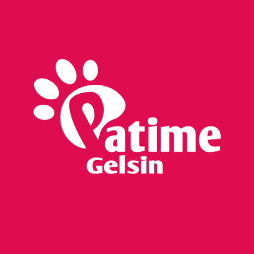 Patimegelsin.com